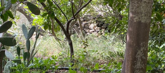 6 rooms Villa in Chiaramonte Gulfi, Italy No. 103537 36