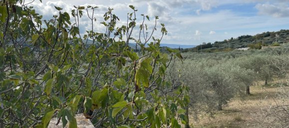 6 rooms Villa in Chiaramonte Gulfi, Italy No. 103537 9