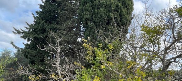 6 rooms Villa in Chiaramonte Gulfi, Italy No. 103537 17