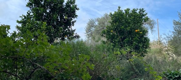 6 rooms Villa in Chiaramonte Gulfi, Italy No. 103537 33