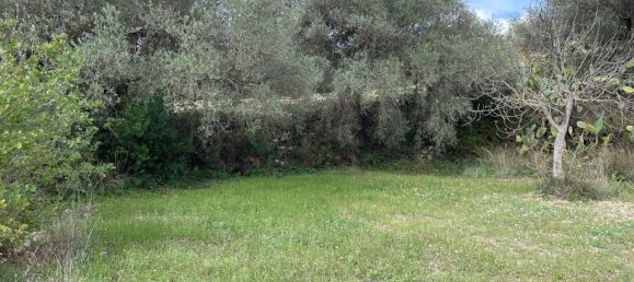 6 rooms Villa in Chiaramonte Gulfi, Italy No. 103537 48