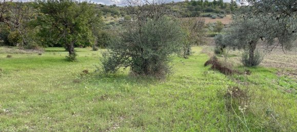 6 rooms Villa in Chiaramonte Gulfi, Italy No. 103537 50