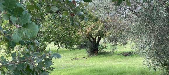 6 rooms Villa in Chiaramonte Gulfi, Italy No. 103537 28