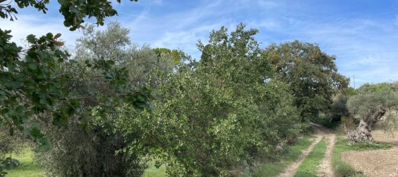 6 rooms Villa in Chiaramonte Gulfi, Italy No. 103537 24