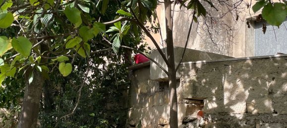 6 rooms Villa in Chiaramonte Gulfi, Italy No. 103537 19