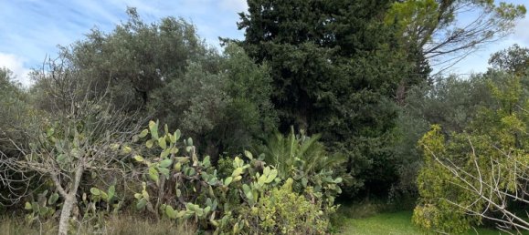 6 rooms Villa in Chiaramonte Gulfi, Italy No. 103537 49