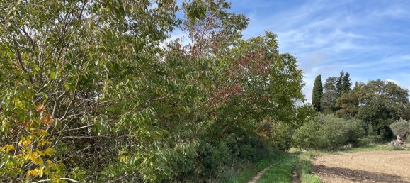 6 rooms Villa in Chiaramonte Gulfi, Italy No. 103537 27