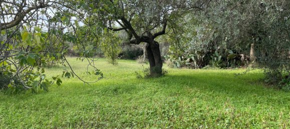 6 rooms Villa in Chiaramonte Gulfi, Italy No. 103537 39