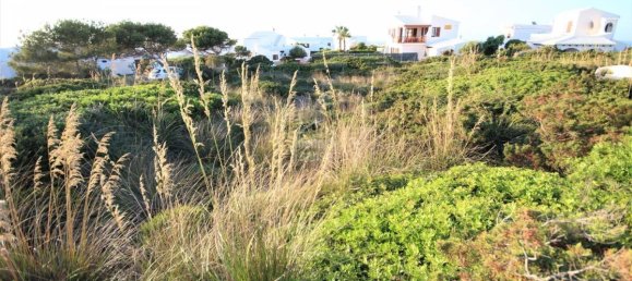 Terrain à Ciutadella De Menorca, Spain 1000m² No. 2015 2