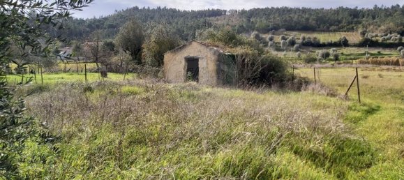 3 Schlafzimmer Haus in Lamas, Portugal, Nr. 85819 12