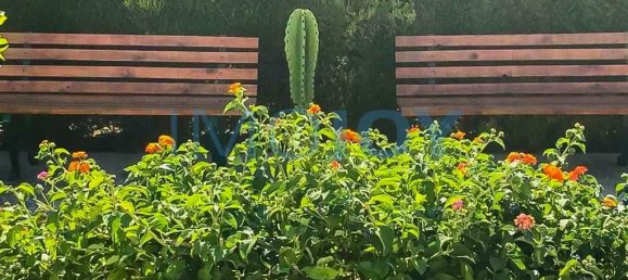 9 غرف نوم منزل في Vila do Bispo, Portugal رقم 186711 6