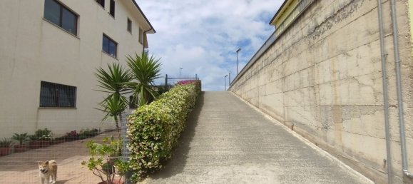 8 bedrooms Apartment in Grisolia, Italy No. 136424 11