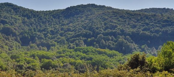  قطعة أرض في Pietrosella, France 39548متر مربع رقم 303162 4