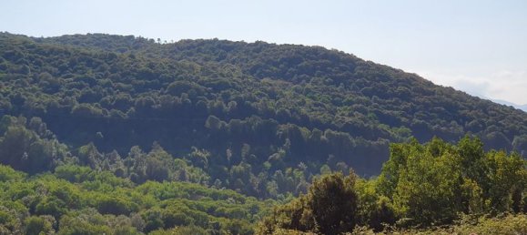  قطعة أرض في Pietrosella, France 39548متر مربع رقم 303162 5