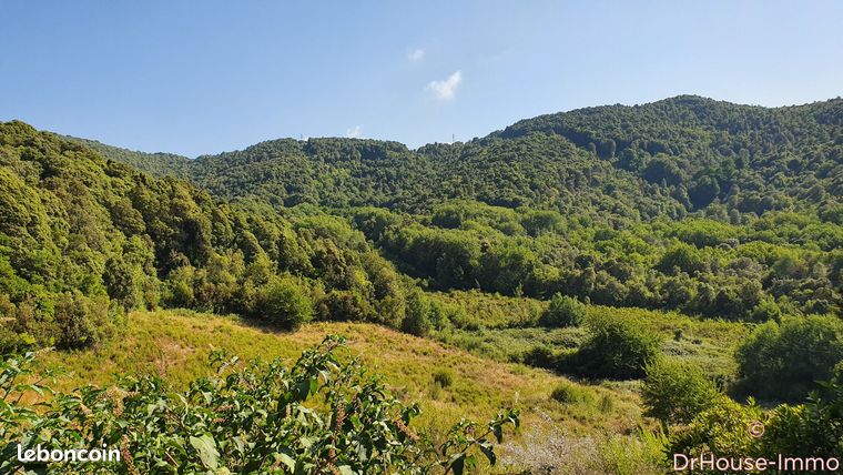  قطعة أرض في Pietrosella, France 39548متر مربع رقم 303162