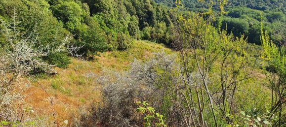  قطعة أرض في Pietrosella, France 39548متر مربع رقم 303162 2