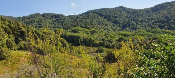  قطعة أرض في Pietrosella, France 39548متر مربع رقم 303162 3