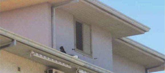 4غرفة شقة في Catania, Italy رقم 299012 9