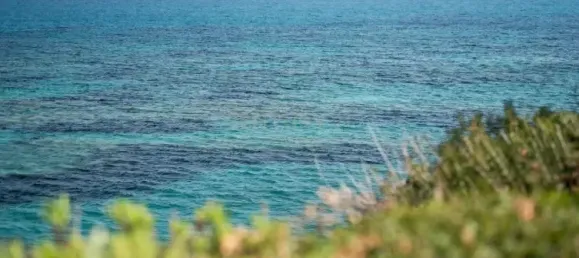 3 chambres Appartement à Pentakomo, Cyprus No. 4450 13