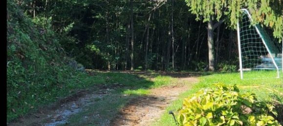 7 chambres Villa à Serravalle Pistoiese, Italy No. 323822 17