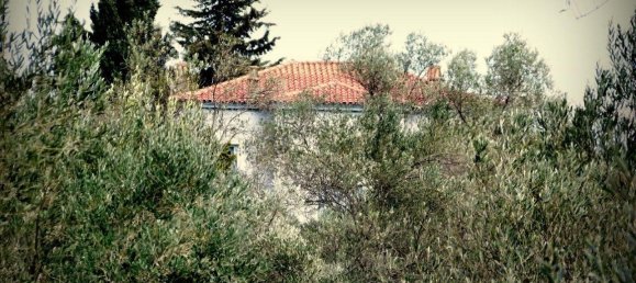 Imóvel comercial T6 em Lesbos, Greece N.º 4831 8