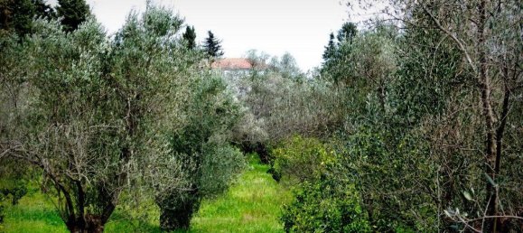 Imóvel comercial T6 em Lesbos, Greece N.º 4831 7