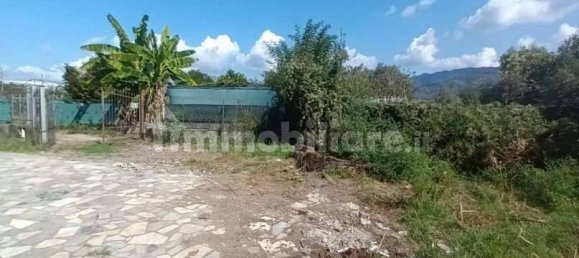 3 rooms Apartment in Sarzana, Italy No. 269279 3