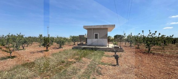 Студия в Конверсано, Италия № 25860 4