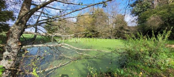 Casa T4 em Deux-Sevres, France N.º 304338 8