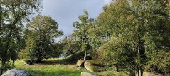 Casa T4 em Deux-Sevres, France N.º 304338 9