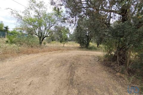 Terrain à Loule, Portugal 997m² No. 214592