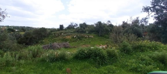 101520m² Hotel in Guia, Portugal No. 10063 15