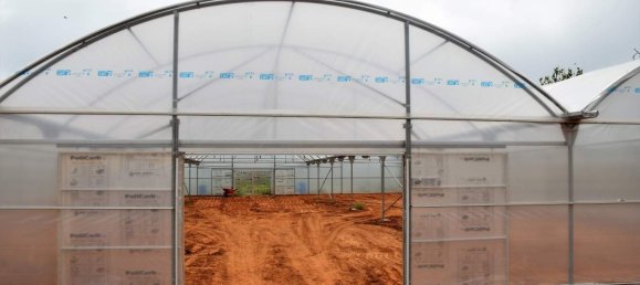 101520m² Hotel in Guia, Portugal No. 10063 10