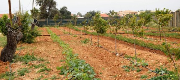 101520m² Hotel in Guia, Portugal No. 10063 9