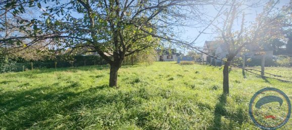 1 bedroom House in Athee-sur-Cher, France No. 159518 8