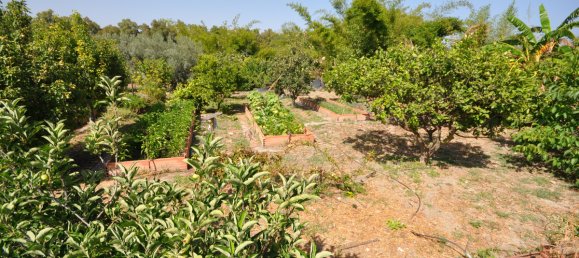 4 bedrooms House in Casares, Spain No. 38750 28