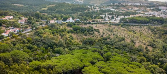 5 Schlafzimmer Haus in Sintra, Portugal, Nr. 284729 6