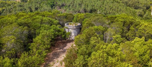 5 Schlafzimmer Haus in Sintra, Portugal, Nr. 284729 7