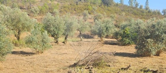 2 Schlafzimmer Haus in Proenca a Nova, Portugal, Nr. 177184 4