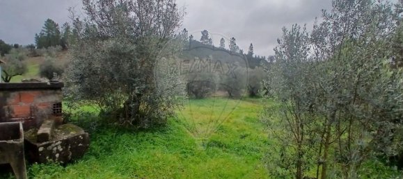 2 Schlafzimmer Haus in Proenca a Nova, Portugal, Nr. 177184 11