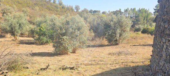 2 Schlafzimmer Haus in Proenca a Nova, Portugal, Nr. 177184 6