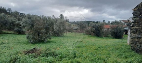 2 Schlafzimmer Haus in Proenca a Nova, Portugal, Nr. 177184 19