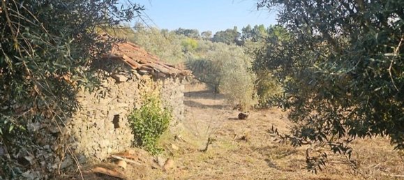 2 Schlafzimmer Haus in Proenca a Nova, Portugal, Nr. 177184 3