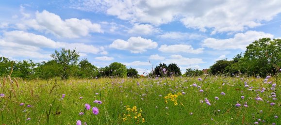 Moradia em banda T4 em Mereville, France N.º 204493 8