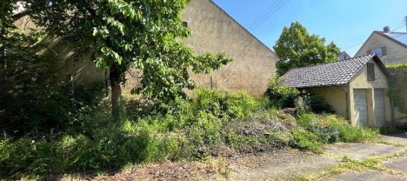 16 rooms Farm in Weikersheim, Germany No. 60271 26