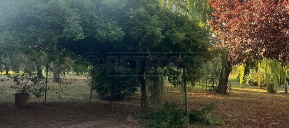 5 Schlafzimmer Haus in Capannori, Italy, Nr. 351701 9