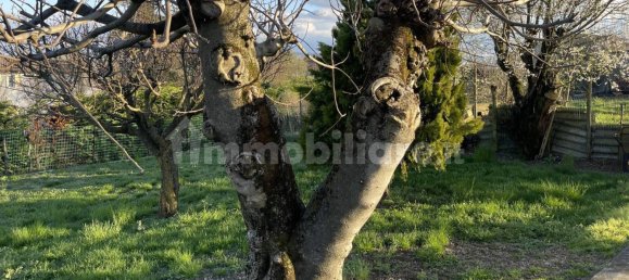 Villa de 2 dormitorios en Castana, Italy No. 112562 44