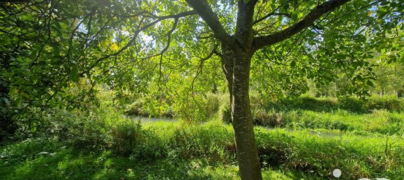 6 bedrooms House in Bailleau-Armenonville, France No. 233295 11