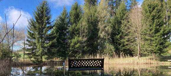  Land in Sallingberg, Austria No. 243436 6