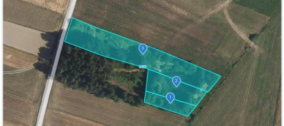  Land in Sallingberg, Austria No. 243436 30